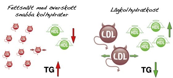 höga kolesterolvärden symptom höga kolesterolvärden symptom